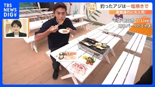 旬のアジを釣ってすぐに食べられる＆豪華浜焼きBBQを楽しめるスポットから生中継【すたすた中継】｜TBS NEWS DIG