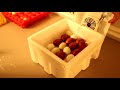 16 Egg Incubator Unboxing | Automatic Egg Incubator Review & Instructions