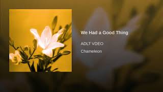 We Had a Good Thing