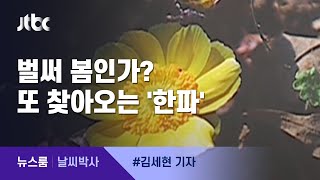 [날씨박사] 한겨울 속 봄 숨결 '일장춘몽'…금요일 다시 한파 / JTBC 뉴스룸