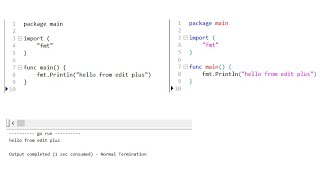 EditPlus Go setup