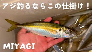 宮城で絶対アジを釣る！たくさん釣るための仕掛けについて解説。