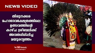 തിരുനക്കര മഹാദേവക്ഷേത്രത്തിലെ ഉത്സവത്തിന്റെ കാഴ്ച ശ്രീബലിക്ക് അവതരിരിപ്പിച്ച മയൂരനൃത്തം