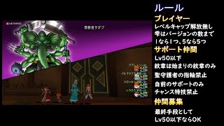 DQX Lv50でいけるところまで 邪教祖サダク