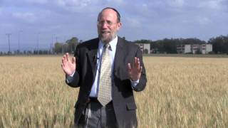 Pesach in the Promised Land Part 1 of 2