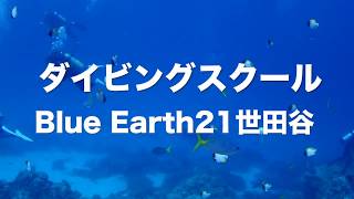 シニア世代の仲間と潜るパラオの海　世田谷のダイビングスクール