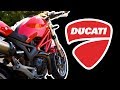 DUCATI MONSTER 1100 - DESMO RIDER (SHORTCUT #02)