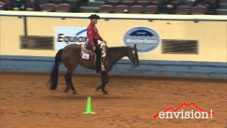 Radical Yet Fancy - 2012 AQHA World Show - Sr. Western Riding Preliminary