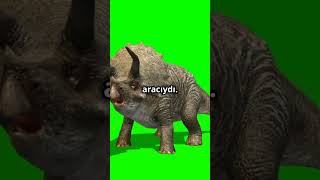 Dinozor Türleri: Triceratops #bilim #tarih #science #history #youtubeshort