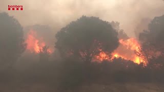 Wildfires rage along France-Spain border