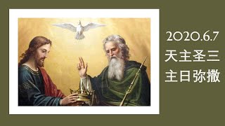 2020.6.7 天主圣三节华语主日弥撒 萧永伦神父主祭  Holy Trinity Sunday Mandarin Mass by Fr Henry Siew