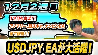 【FX自動売買】12月2週目 アノマリー、朝スキャ、ナンピンEAすべて報告！USDJPY EAが大活躍