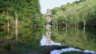 早朝散歩/静かな森と湖を歩く/瀬戸市海上の森/たじみ陶器まつり2021/Walk through the forest and lake