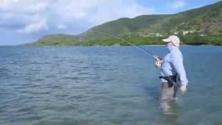 Antigua Fly Fishing Charters: Flats Fishing for Tarpon and Permit with Captain Nick
