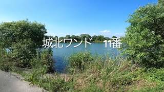 大阪【淀川】城北ワンド⑪