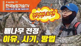 [한국농업기술TV 배농사] 30년 경력의 배농사 고수가 말하는 배나무 전정하는 시기, 배나무 전정하는이유, 배나무 전정하는 방법, 배농사의 모든젓을 말한다.