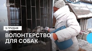 Міжнародний день волонтерів. Історія рівнянки, яка опікується собаками