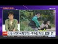 뉴스포커스 판다 신드롬 남긴 푸바오 오늘 전세기로 중국행 연합뉴스tv yonhapnewstv