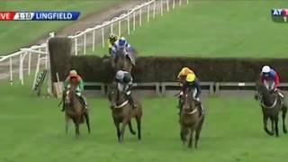 Horse racing thrills and spills - Horse says no!