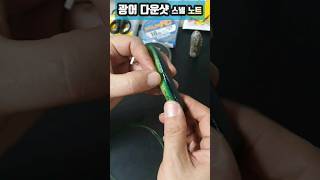 광어 다운샷 스넬노트!