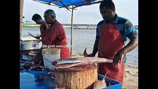 കൊല്ലം വാടിയിൽ നല്ല നെയ്മീൻ അലുവ പോലെ മുറിച്ചെടുക്കുന്നത് ആരും കണ്ടു നിന്നുപോകും  ❤️ #kollamvadi