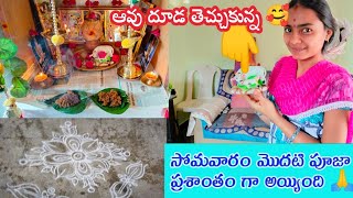 #vlog ఆవు దూడ తెచ్చుకున్న🐄|| ఈ ఇంట్లో కీ వచ్చాక మొదటి పూజా🙏|| మనసుకు చాలా ఆనందంగా అనిపించింది 🥰🥰