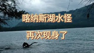 奇闻趣事｜新疆喀纳斯湖水怪又现身了，你见过他的真面目吗？