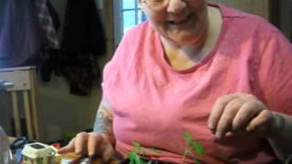 Seedlings and Transplanting