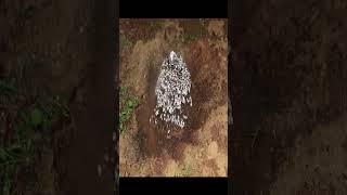 #aluminum #aluminum #art #anthill #asmr #fyp #foryou #ant #foyoupage #relax #vir