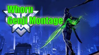 Whoru Genji Montage - Pro Overwatch Plays Season 19