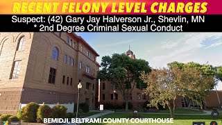 Recent Felony Level Charges In Beltrami County Court