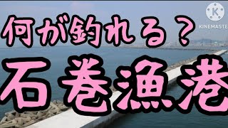 【石巻漁港】宮城県石巻漁港⚓️#819 #福島県  #いわき市 #小名浜  #一人暮らし #独身 #女子 #釣り