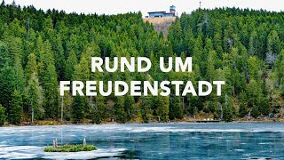 Rund um Freudenstadt | Palmenwald-Hotel | Ellbachseeblick | Kniebis | Mummelsee