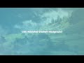 Pure CSS Animated Gradient Background | HTML & CSS