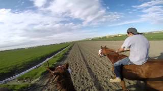 GoPro Indian Relay 2014