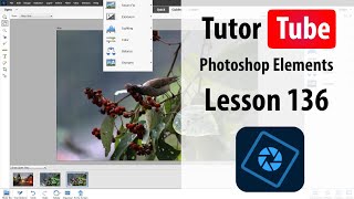 Photoshop Elements Tutorial - Lesson 136 - Lasso, Polygon and Magnetic Selection Tools
