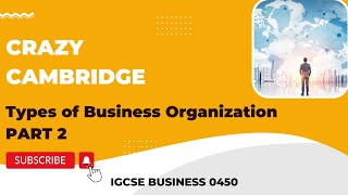 Cambridge IGCSE Business 0450 - Types of business organization PART 2