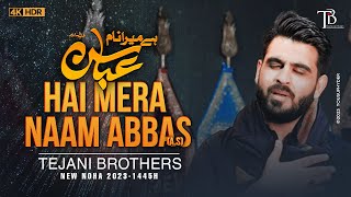 Nohay 2023 | HAI MERA NAAM ABBAS | Tejani Brothers | New Noha 2023 | Muharram Nohay 2023/1445