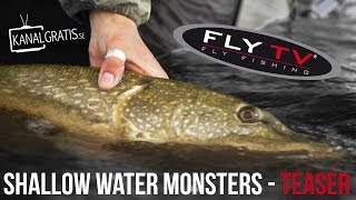 [TEASER] FLY TV - Shallow Water Monsters - Fly Fishing for Big Pike