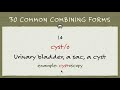 医学英语词汇 8 三十个常见构词成分中 medical terminology common combining forms part 2｜如何拆分医学英语｜入门基础｜词根词缀及构词成分精讲