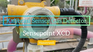 My Job#6 - Kalibrasi Gas Detector Sensepoint XCD Honeywell