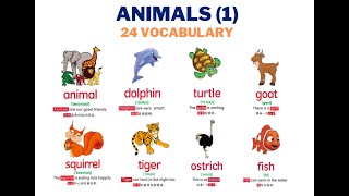 Animal Vocabulary English (Part 1) 🐬🐢🐅 Learn English for Kids 关于动物的英语单词 | Simple \u0026 Easy English