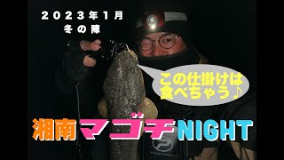 冬のサーフ、初心者でも湘南サーフで釣果が出る仕掛けがありました！