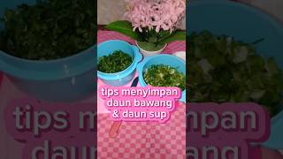 cara menyimpan daun bawang dan daun seledri di kulkas,tetap segar awet hingga berbulan bulan #shorts