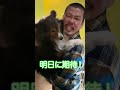 ボールキャッチチャレンジ12日目 music シェルティ 犬 dog sheltie 毎日更新 犬のいる暮らし ボールキャッチチャレンジ spicegirls さんありがとうございます