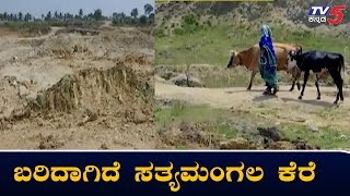 ಹನಿ ನೀರು ಇಲ್ಲದೆ ಬರಿದಾಗಿದೆ ಸತ್ಯಮಂಗಲ ಕೆರೆ | Hassan Satya Mangala Kere | TV5 Kannada