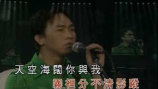 海闊天空 1996年Beyond的精彩Live & Basic演唱會 (懷愐家駒的歌曲2)