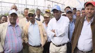 Tigrai TV: ዑደት ፕረዚደንት ኣባይ ወልዱ ኣብ ዞባ ደቡብ ትግራይ ካልኣይ ክፋል