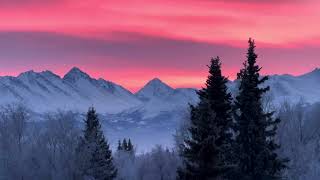 Spectacular Sunrise Over Flattop, Alaska’s Most Climbed Mountain \u0026 Frosted Trees  #dalejay8901