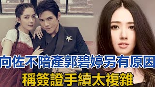 向佐不陪產郭碧婷另有原因？稱簽證手續太複雜，否認自己是媽寶男｜快点娱乐｜